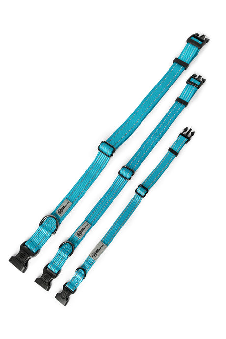 Teal nylon dog collar with plastic clip