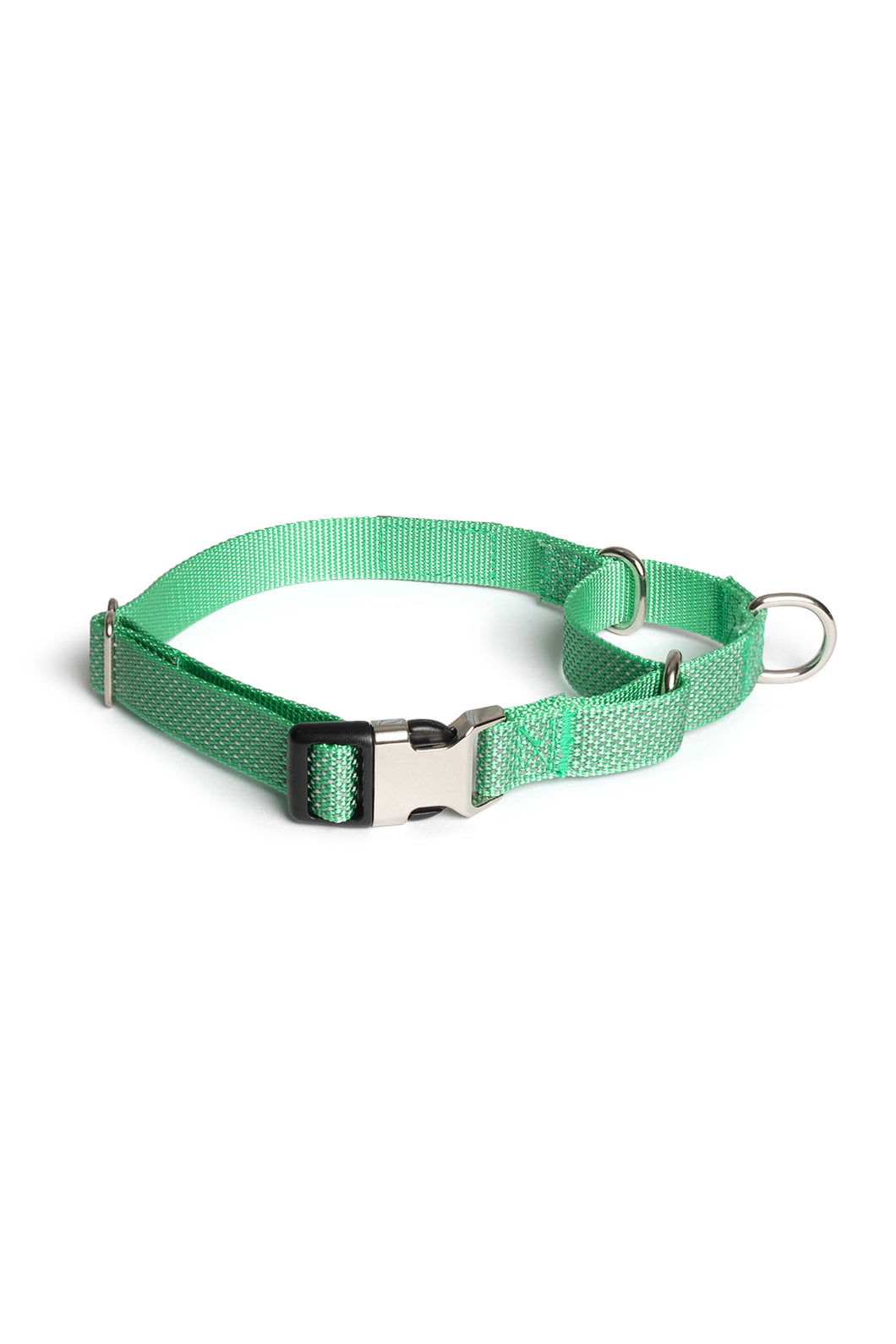 Teal Martingale Collar - Buckle