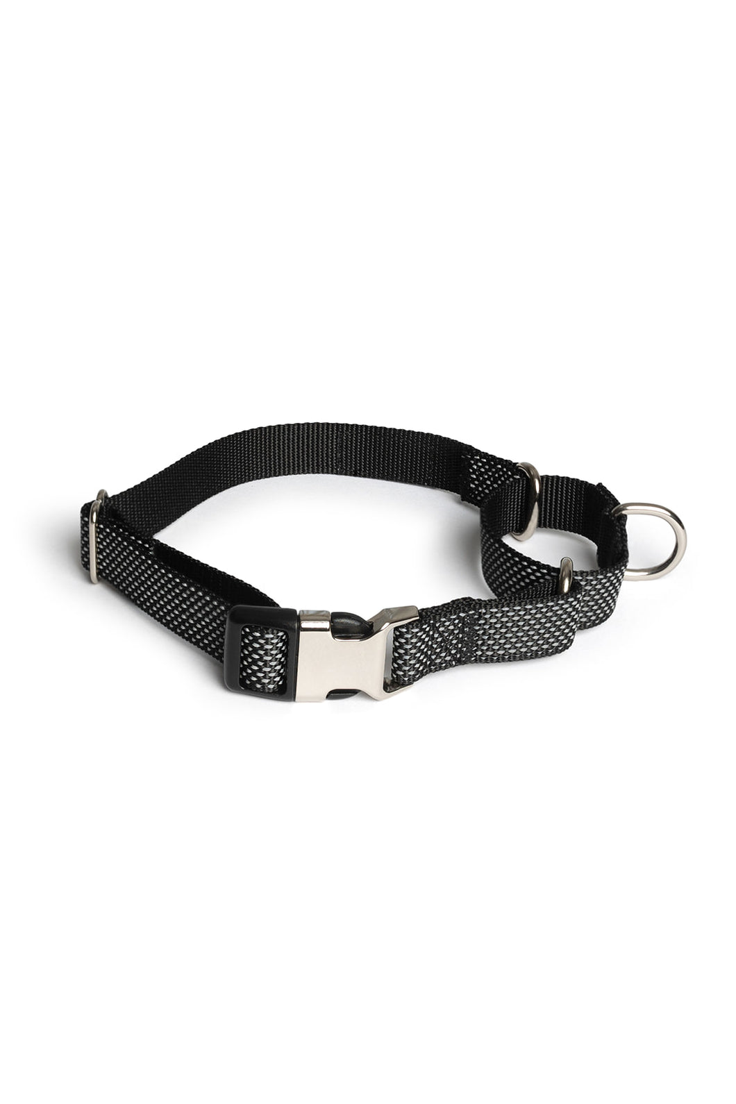 Midnight Black Martingale Collar - Buckle