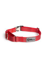 Velvet Red Martingale Collar - Buckle