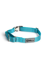 Sky Blue Martingale Collar - Buckle