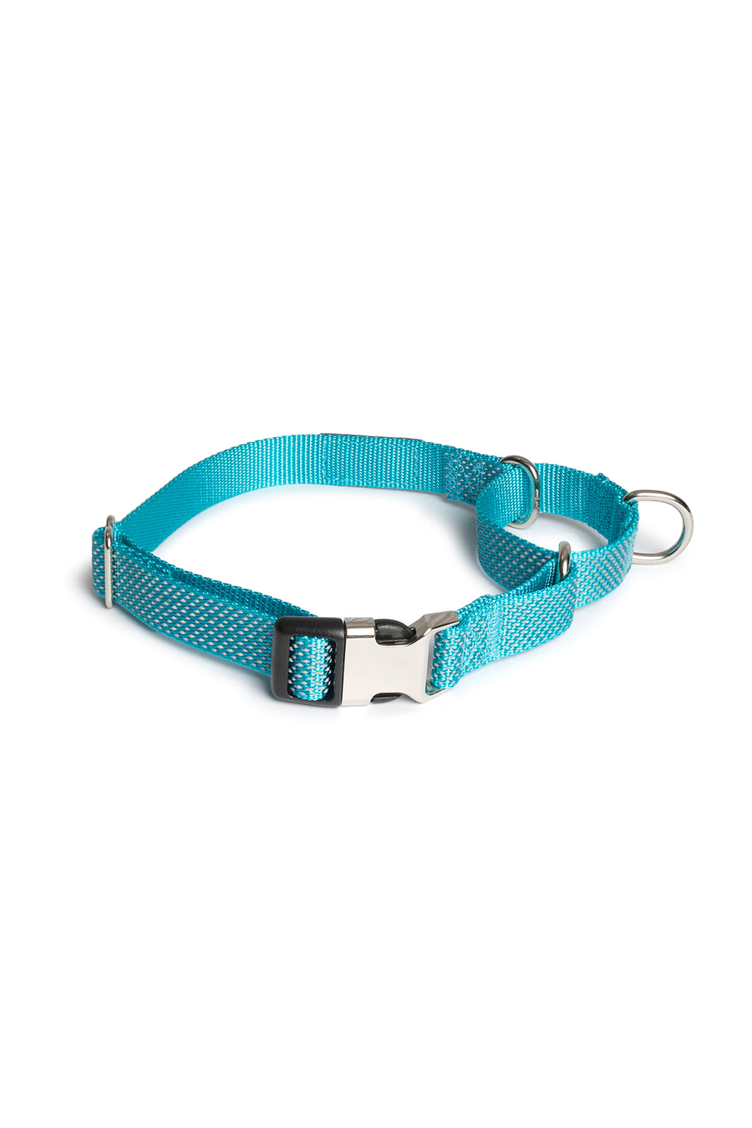 Sky Blue Martingale Collar - Buckle
