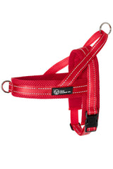 Red Dog Harness - The Storm
