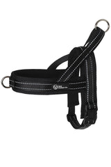 Black Dog Harness - The Storm