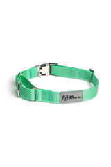Costal Teal Martingale Collar - Buckle