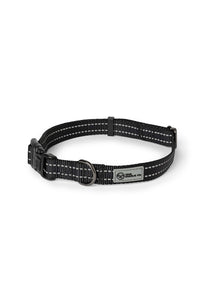 Black nylon dog collar with plastic clip